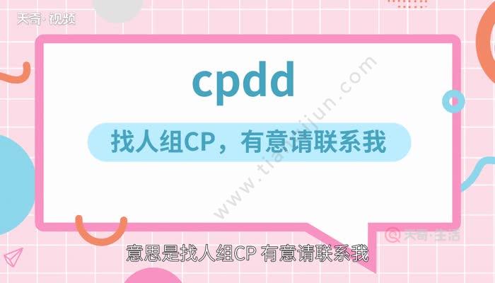 cpdd是什么意思cpdd的意思