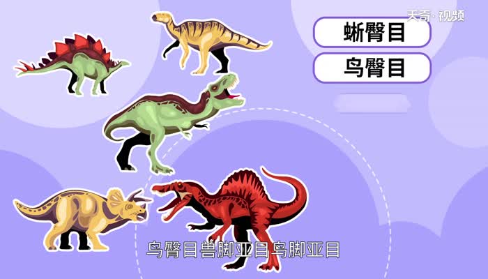 恐龙的种类 恐龙有哪些种类