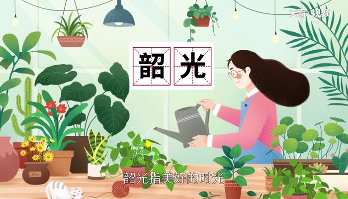 韶怎么读 韶的读法