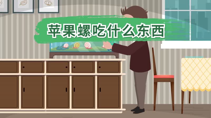 蘋果螺吃什么東西 蘋果螺可以食用嗎