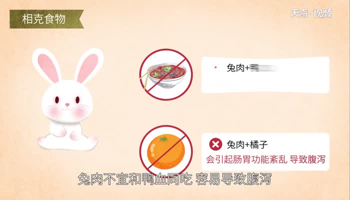 兔肉不能和什么一起吃  吃兔肉的禁忌