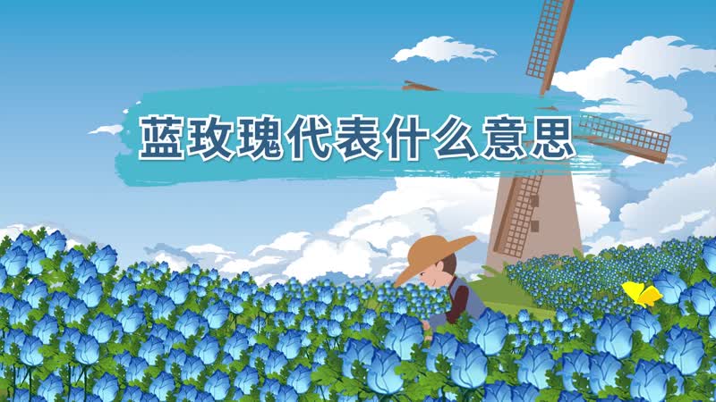 蓝玫瑰代表什么意思 蓝玫瑰花语