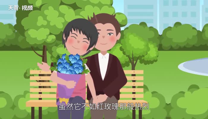 蓝玫瑰代表什么意思 蓝玫瑰花语