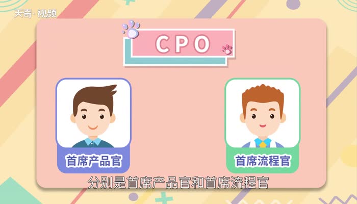 cpo是什么职位 CPO是什么意思