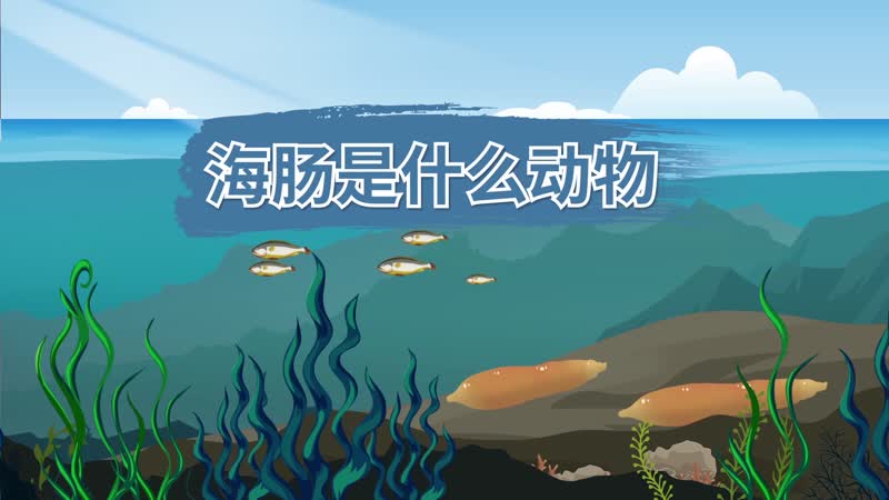 海腸是什么動(dòng)物 海腸是動(dòng)物還是植物 