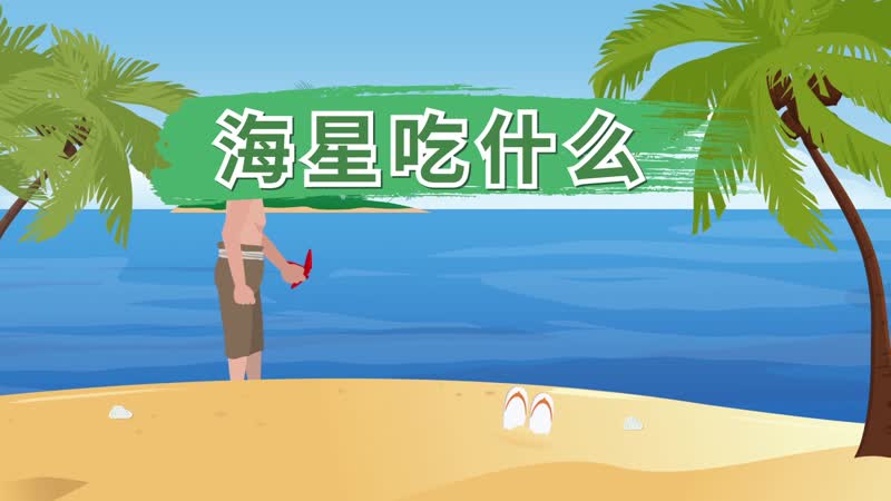 海星吃什么 海星吃什么食物