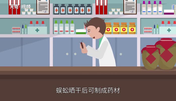 蜈蚣吃什么 蜈蚣吃什么東西