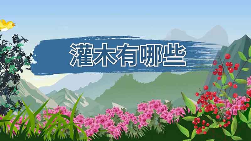 灌木有哪些 灌木种类