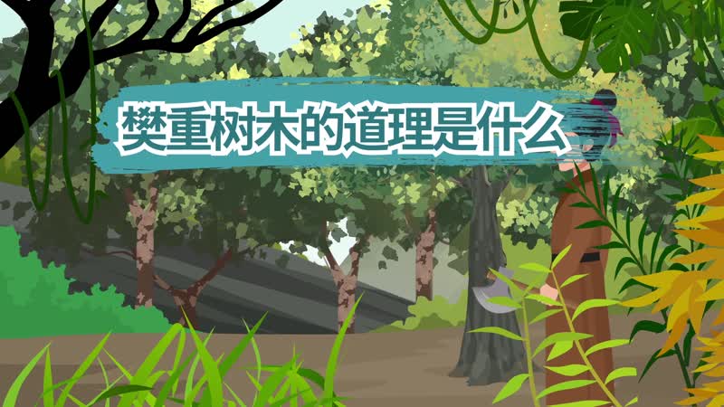 樊重树木的道理是什么  樊重树木启示我们什么