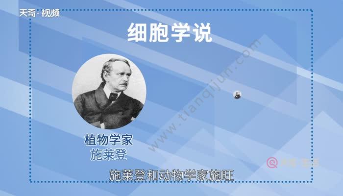 细胞学说是谁提出的 细胞学说由什么创造 天奇生活