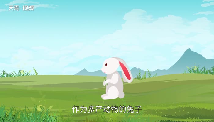 复活节兔子的由来   复活节为什么会有兔子