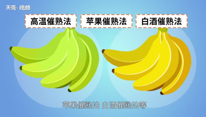催熟香蕉的方法 催熟香蕉的方法有哪些