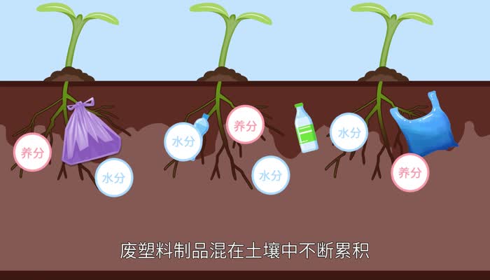 塑料袋对环境的危害 塑料袋对环境有什么危害