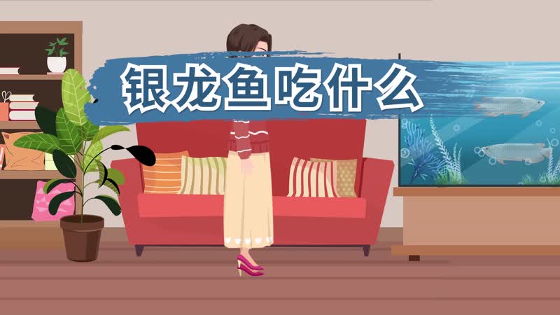 银龙鱼吃什么 银龙鱼吃什么东西