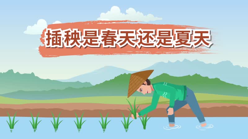 插秧是春天還是夏天 是夏天插秧還是春天插秧