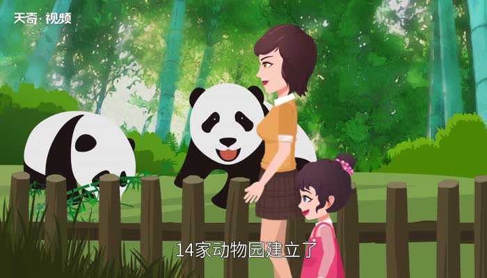 熊猫为什么是国宝 熊猫为什么是中国的国宝