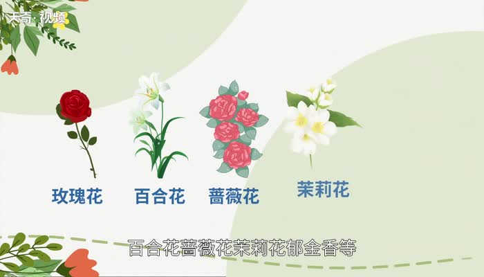 結(jié)婚紀念日送什么花 結(jié)婚紀念日送什么花給老婆