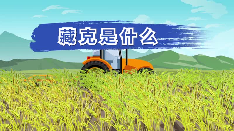 藏克是什么 藏克是什么意思