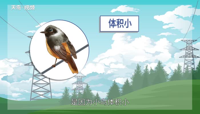小鸟站着高压线上为什么不会被电死 小鸟站在高压线上为什么不会被电