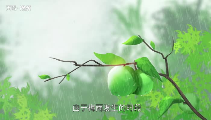 江南的梅雨季节是什么时候 江南的梅雨季节是几月到几月