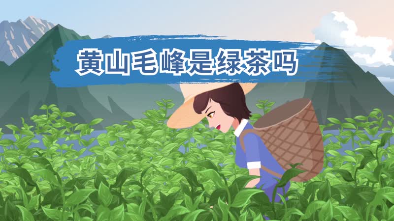 黄山毛峰是绿茶吗 黄山的毛峰茶是绿茶吗