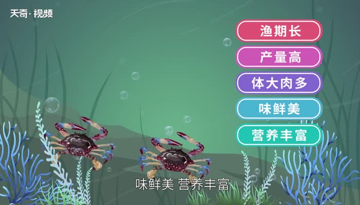 梭子蟹就是花蟹吗 梭子蟹是不是花蟹