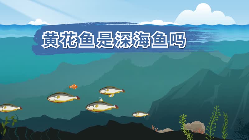 黃花魚(yú)是深海魚(yú)嗎 黃花魚(yú)屬于深海魚(yú)嗎