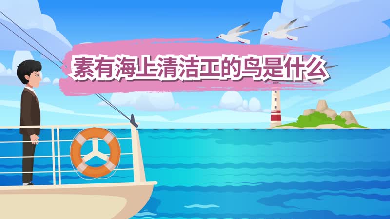 素有海上清洁工的鸟是什么 素有海上清洁工称号的鸟是什么鸟