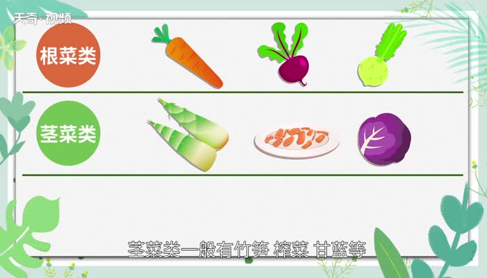 菜类有哪些种类 蔬菜有哪些种类