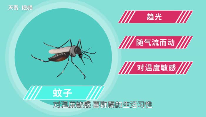 灭蚊灯是什么原理把蚊子杀死的 灭蚊灯的原理是什么