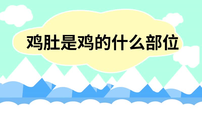 鸡肚是鸡的什么部位 鸡肚是鸡身上的什么部位