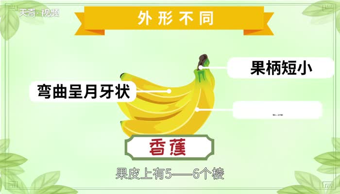 香蕉和芭蕉的区别 香蕉和芭蕉之间的区别
