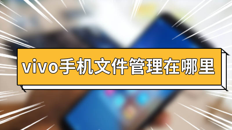 vivo手机文件管理在哪里 vivo手机文件管理在哪里打开