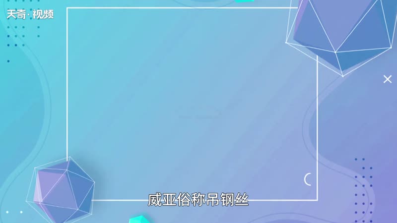 威亚是什么意思 威亚的意思