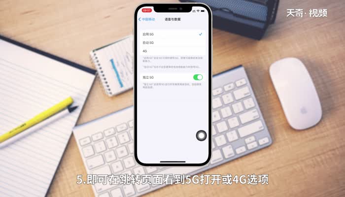 iphone 12 5g設置在哪 蘋果12在哪里調(diào)5g