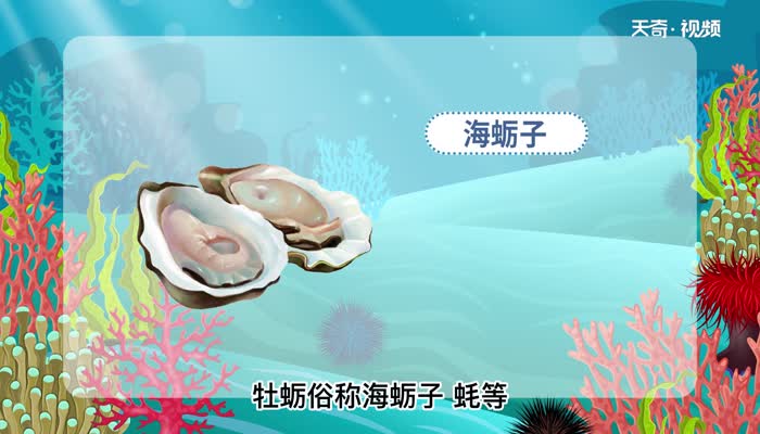 牡蛎的意思 牡蛎的意思是什么
