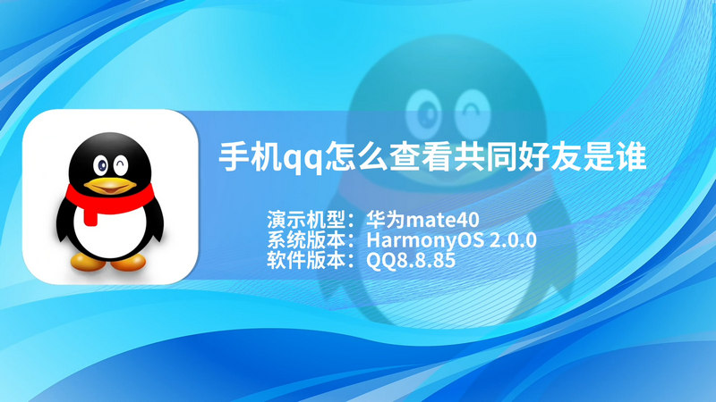 手机qq怎么查看共同好友是谁 手机qq怎么查看共同好友