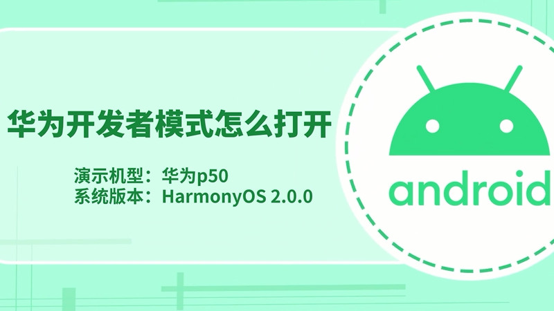 华为开发者模式怎么打开 华为开发者模式怎么打开方法