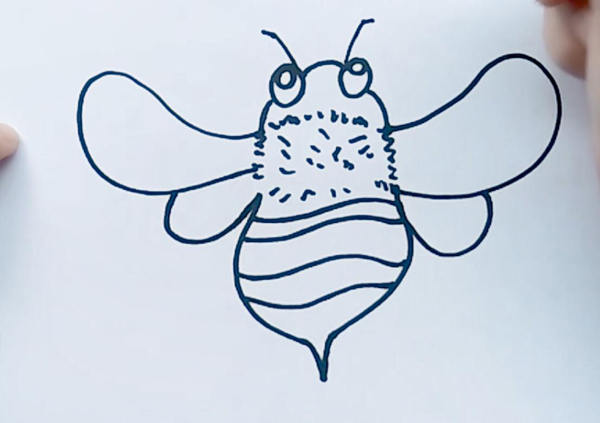 蜜蜂简笔画  蜜蜂怎么画