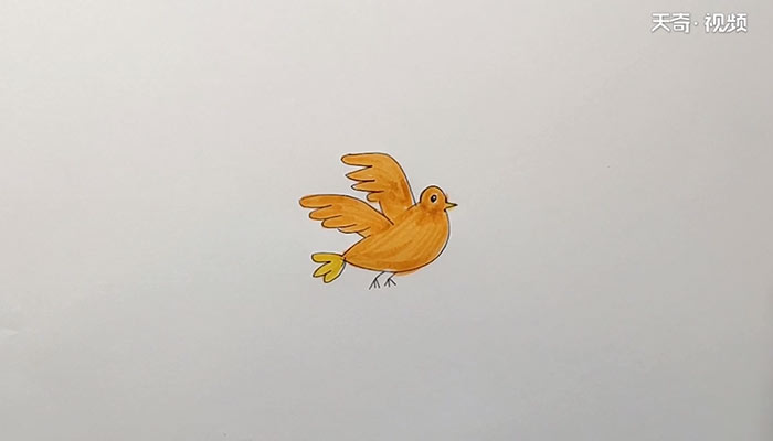 小鸟简笔画