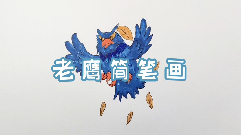 老鹰简笔画