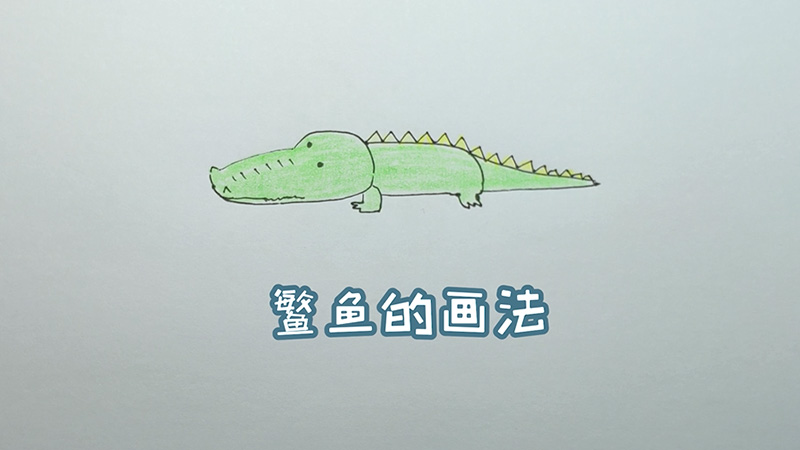 鳄鱼的画法