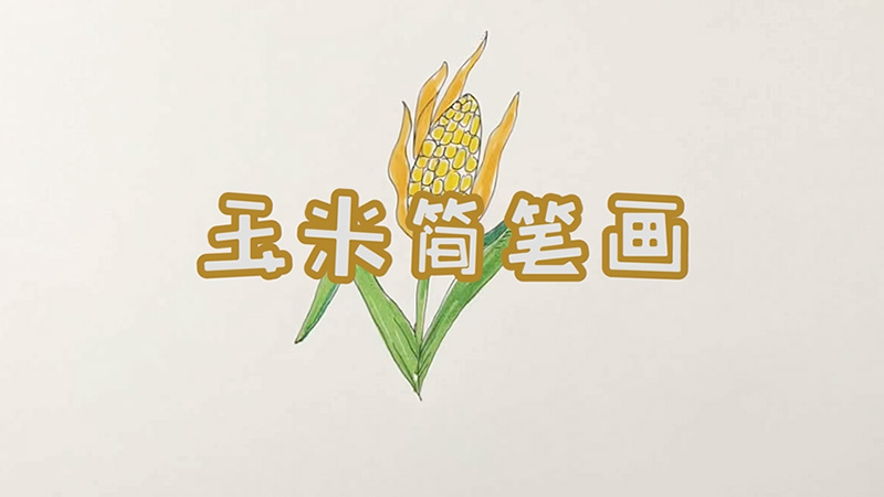 玉米简笔画