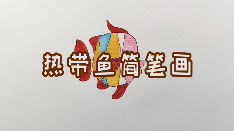 熱帶魚(yú)簡(jiǎn)筆畫