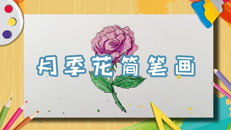 月季花简笔画