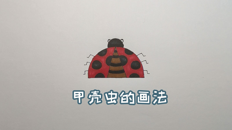 甲壳虫的画法