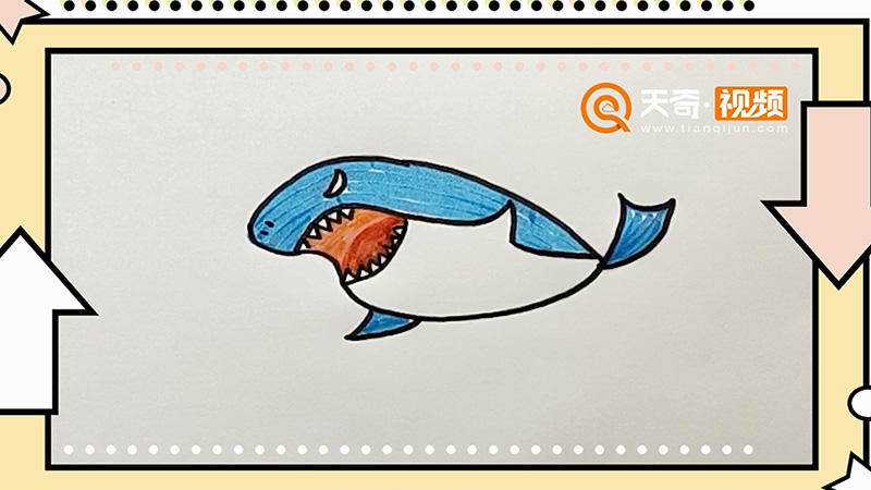 鲨鱼怎么画