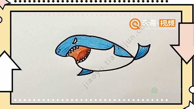 鲨鱼怎么画