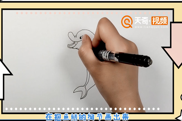 海豚簡筆畫