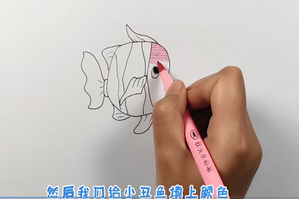 熱帶魚簡筆畫